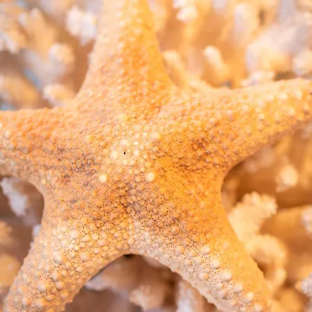 Sabetche - Baskeyrentals Apartment *